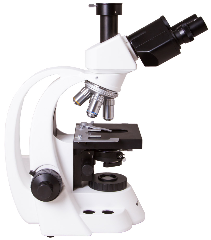 LEV-62563_2.jpg