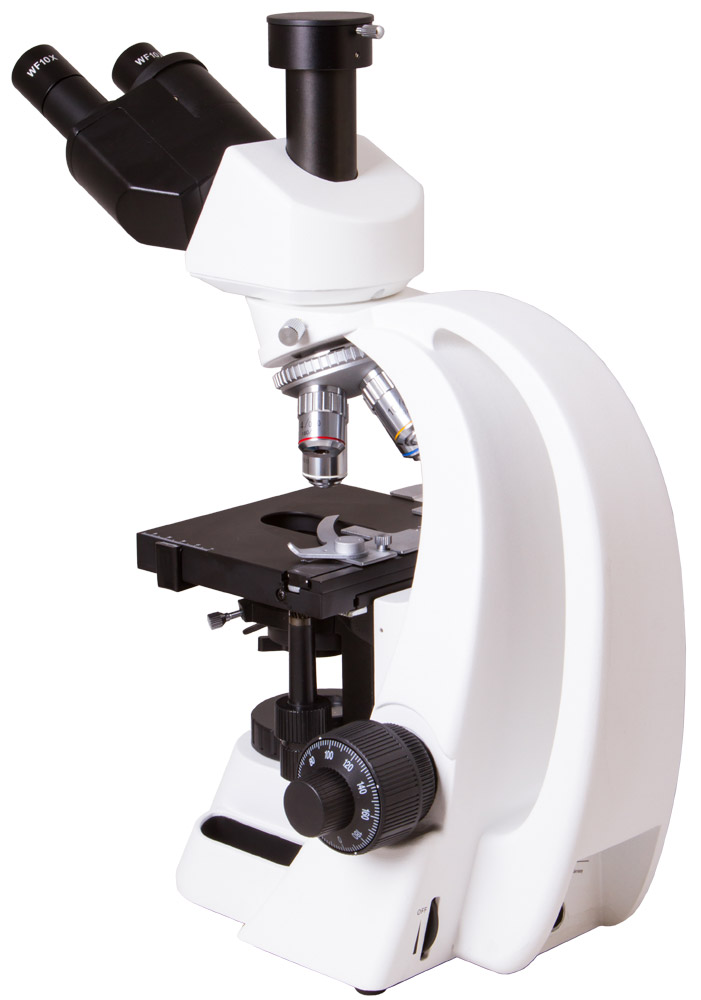 LEV-62563_3.jpg