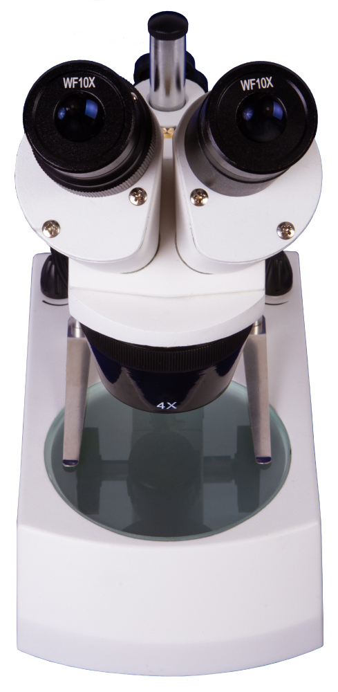 LEV-74313_4.jpg