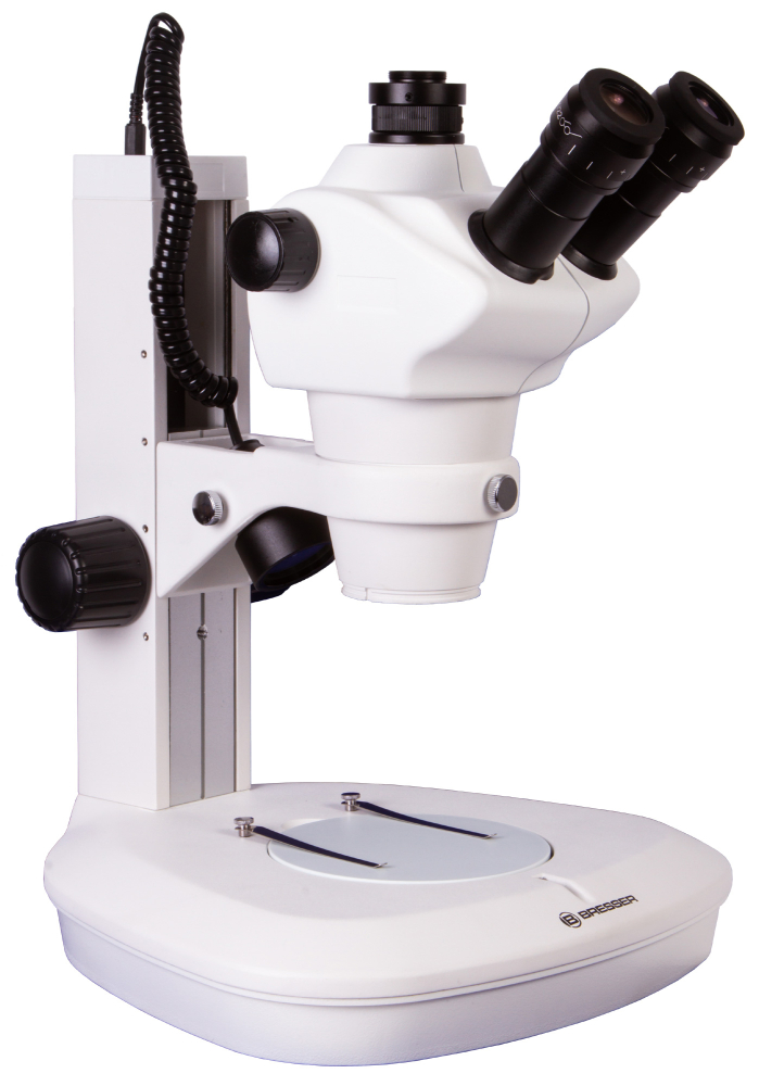 LEV-74317_3.jpg