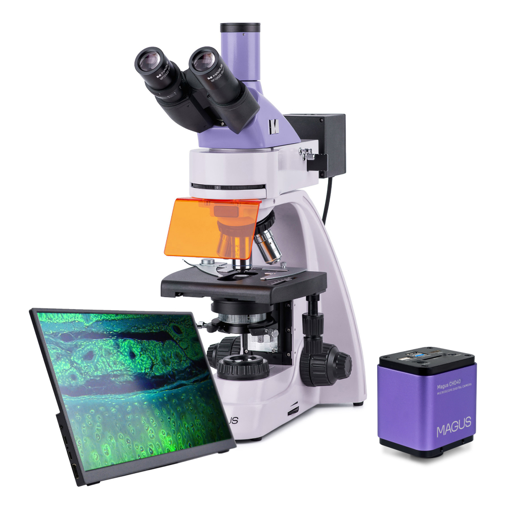 LEV-83019_1.jpg