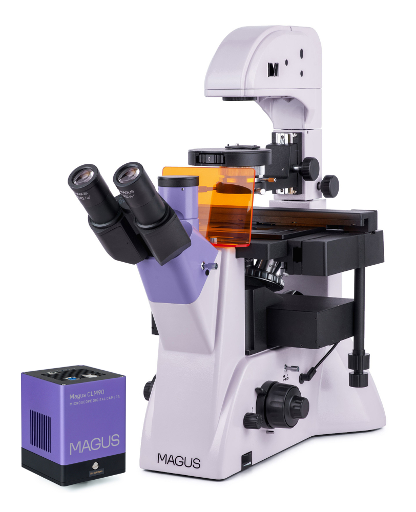 LEV-83022_1.jpg