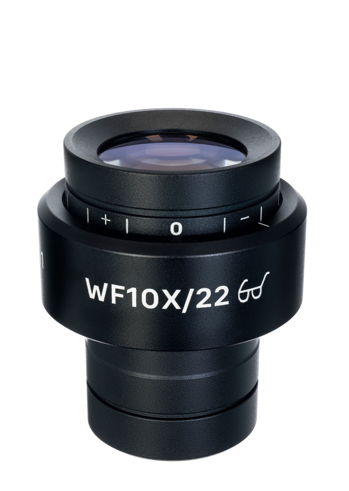 LEV-83441_1.jpg