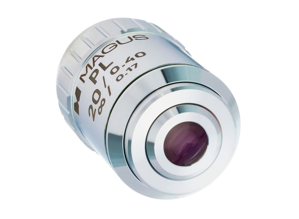 LEV-83450_3.jpg