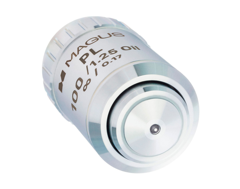 LEV-83451_3.jpg