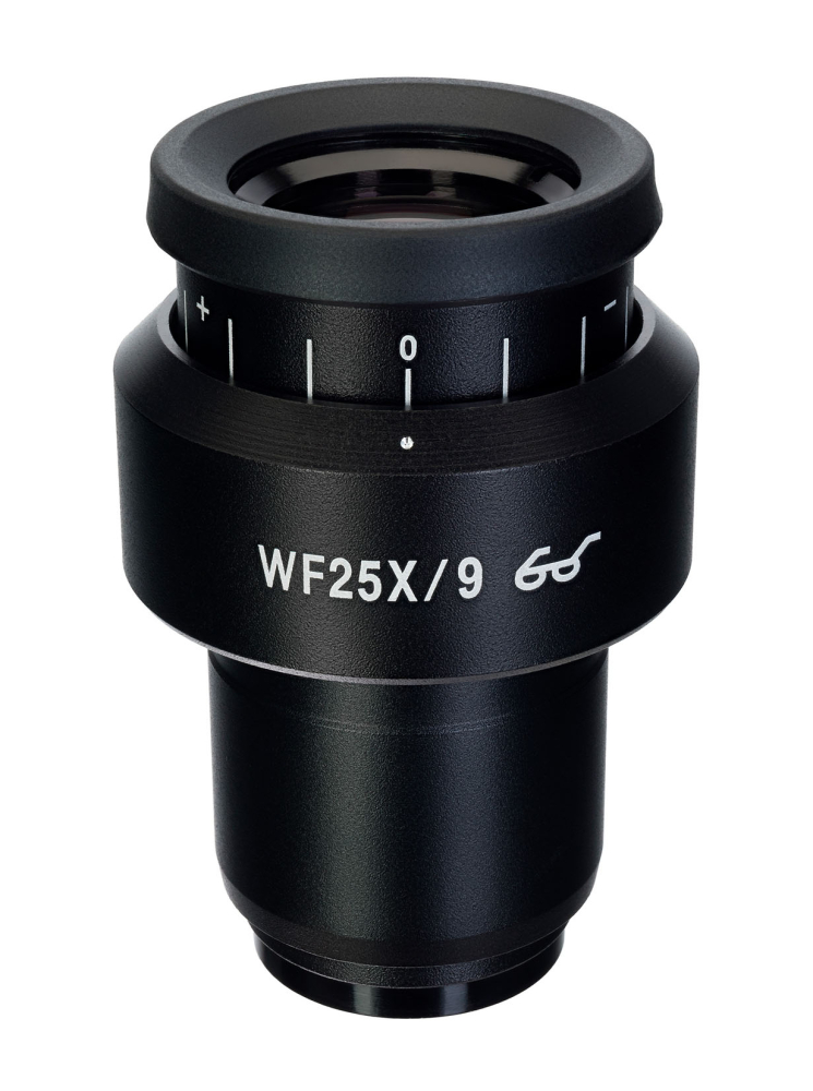 LEV-83502_1.jpg