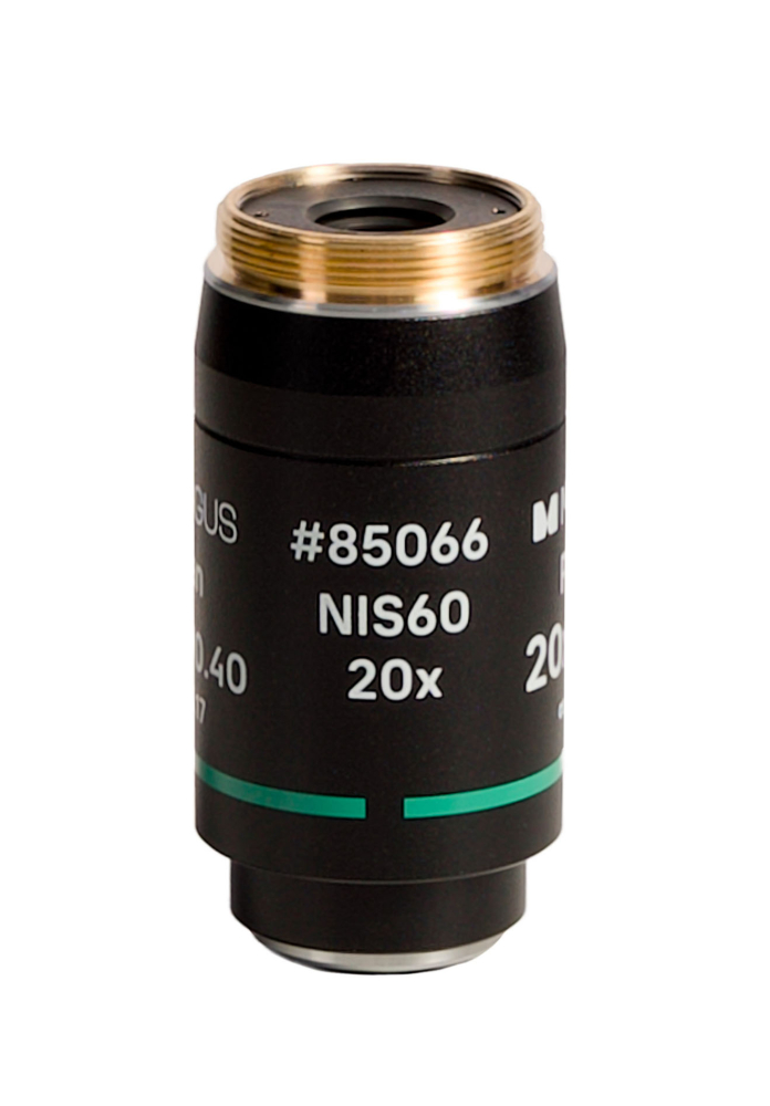 LEV-85066_2.jpg