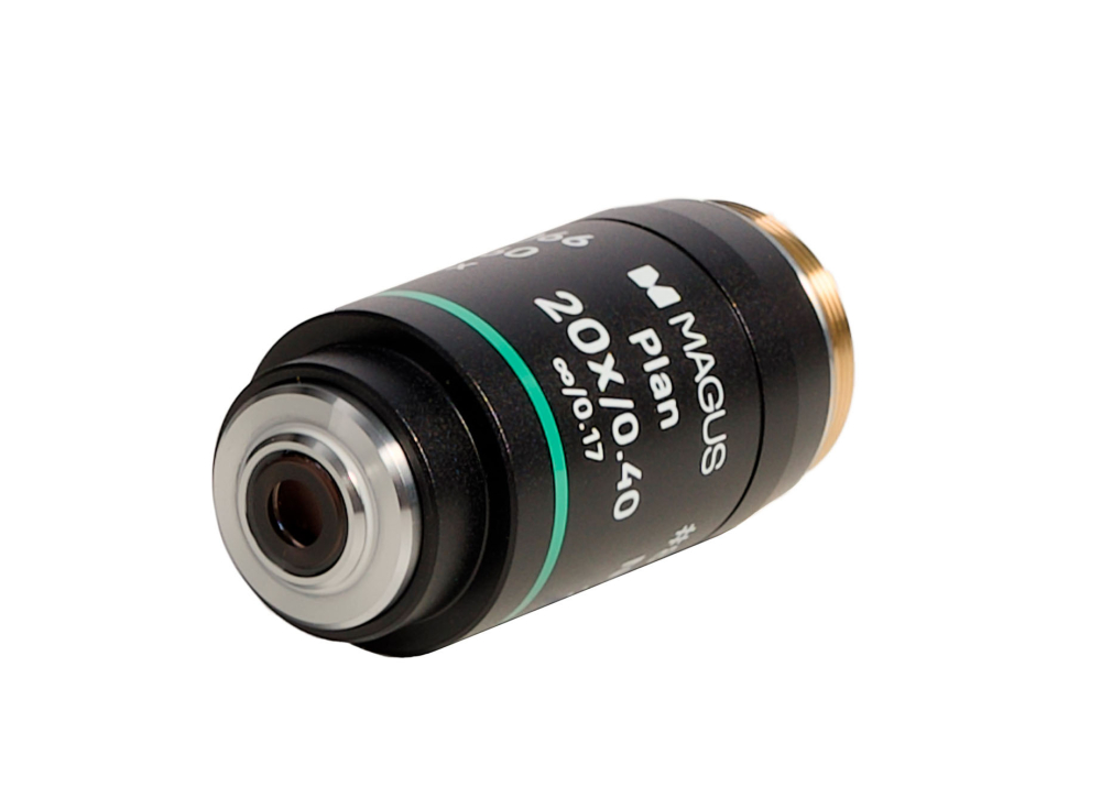 LEV-85066_3.jpg