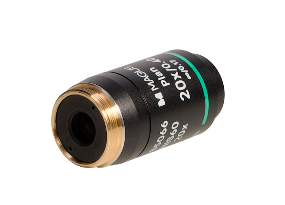 LEV-85066_4.jpg