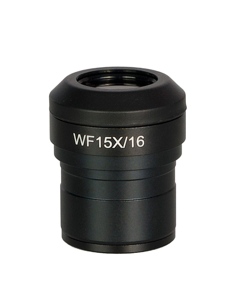 LEV-85084_1.jpg