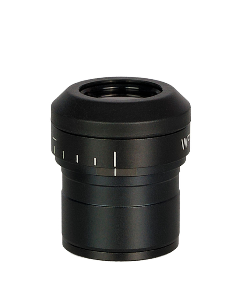 LEV-85084_3.jpg