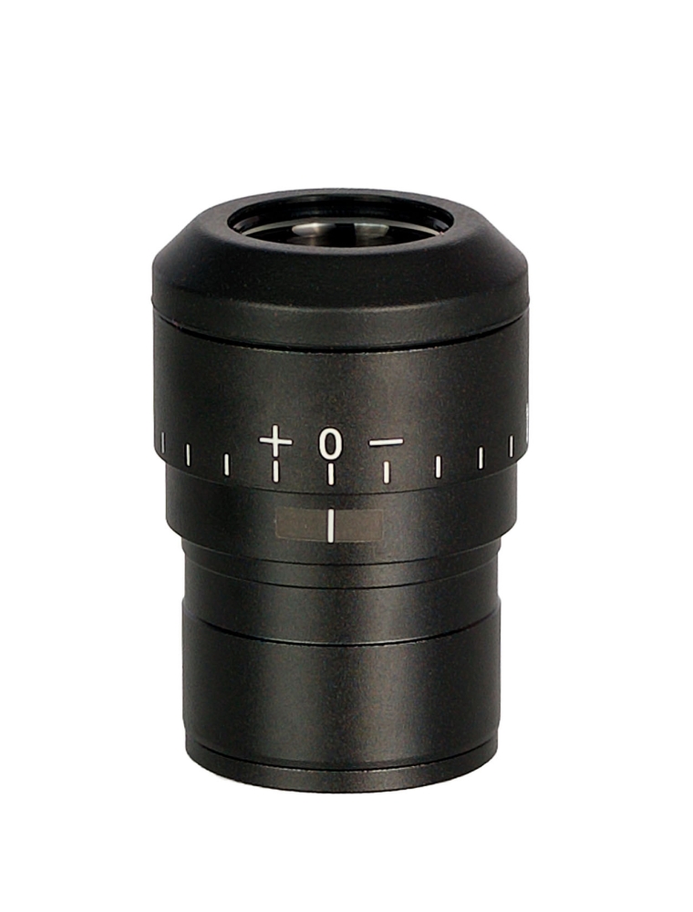LEV-85085_2.jpg