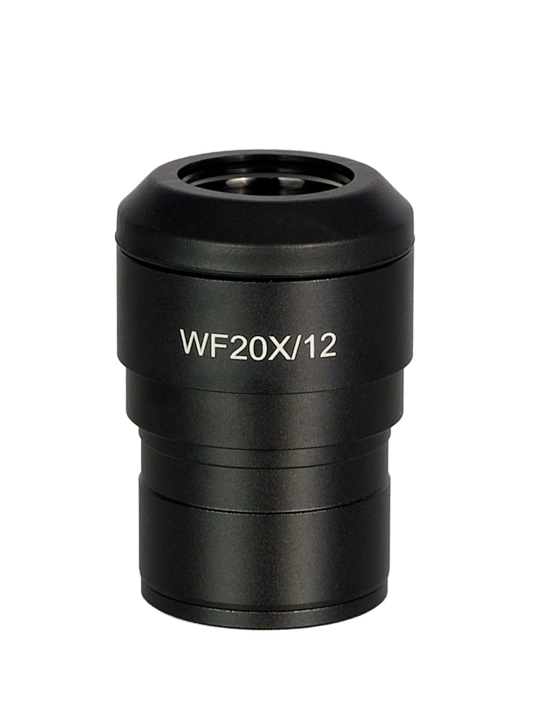 LEV-85131_1.jpg