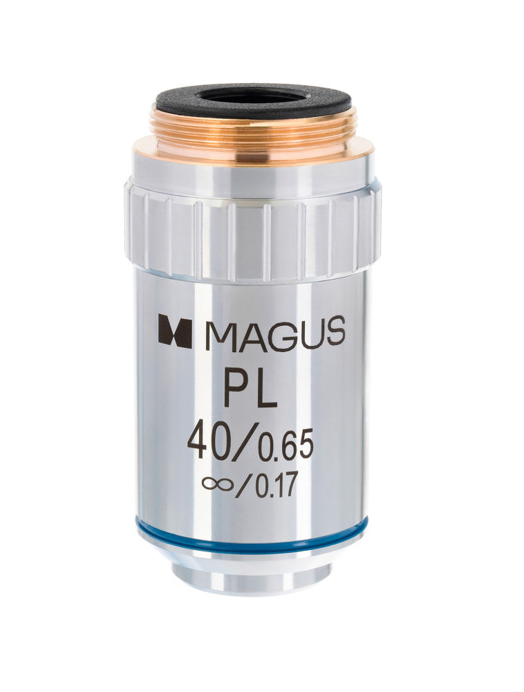 LEV-85239_1.jpg