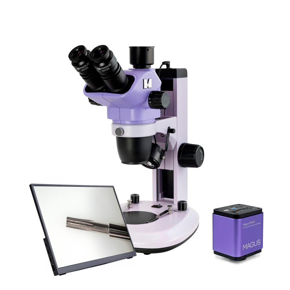 LEV-85280.jpg