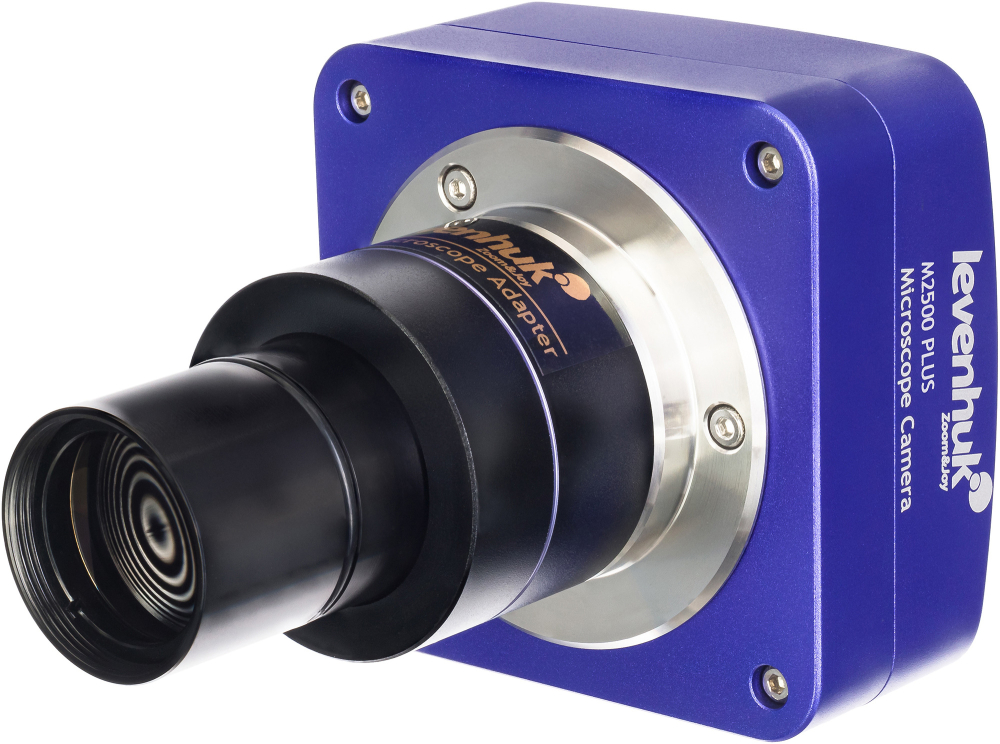 LEV-86165_1.jpg